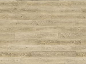 Paradigm Conquest Surrey 9 x 72